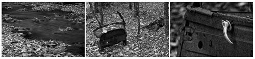 _MG_1267-Edit-Car-Parts-in-the-Woods.jpg
