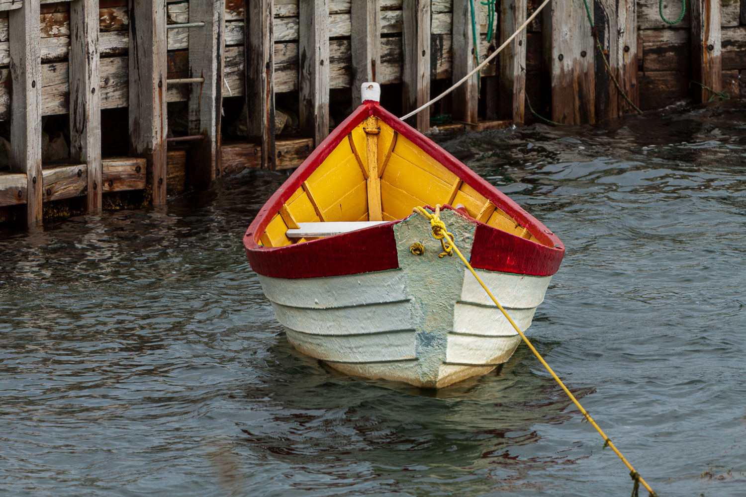 NFLD_03327__MG_1926.jpg