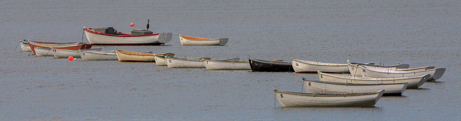 NFLD_1542__MG_0139.jpg