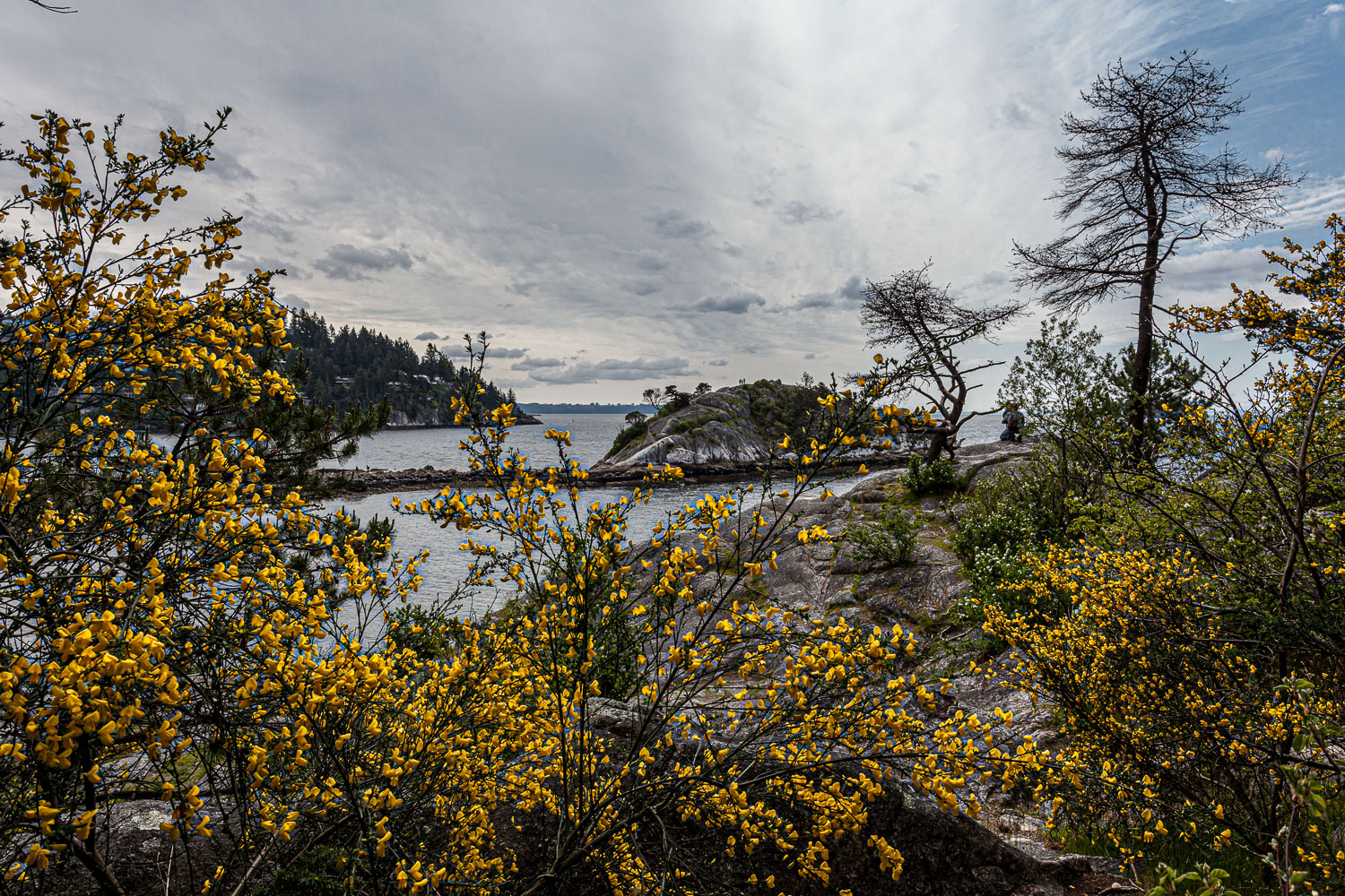 Van_15_65426__MG_1030.jpg