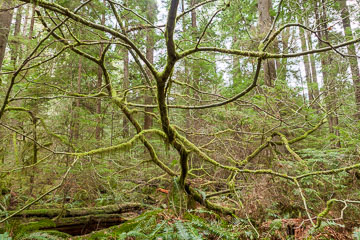 Van_14_50362__MG_2618-HDR.jpg