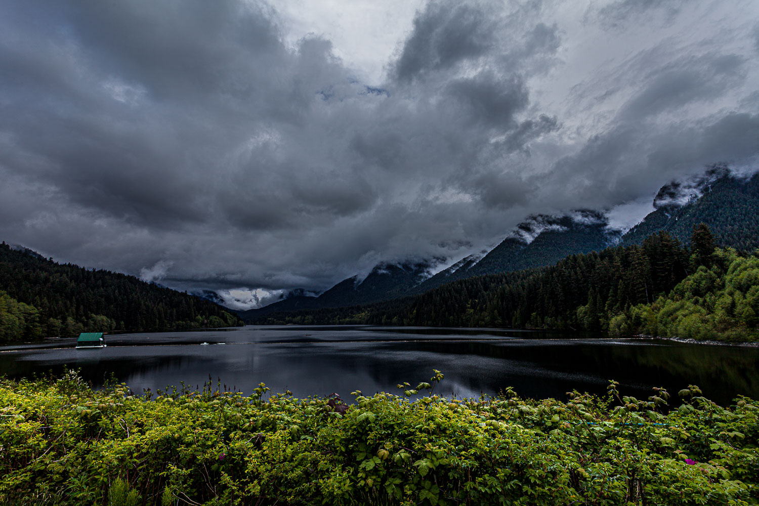 Van_15_65490__MG_1094.jpg