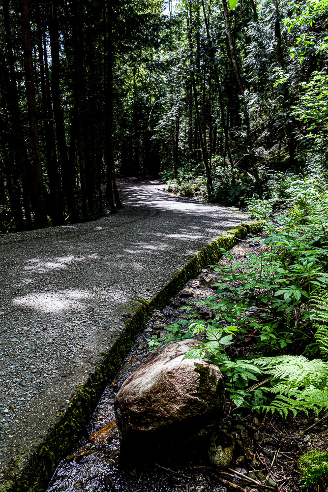 Van_15_65510__MG_1114.jpg