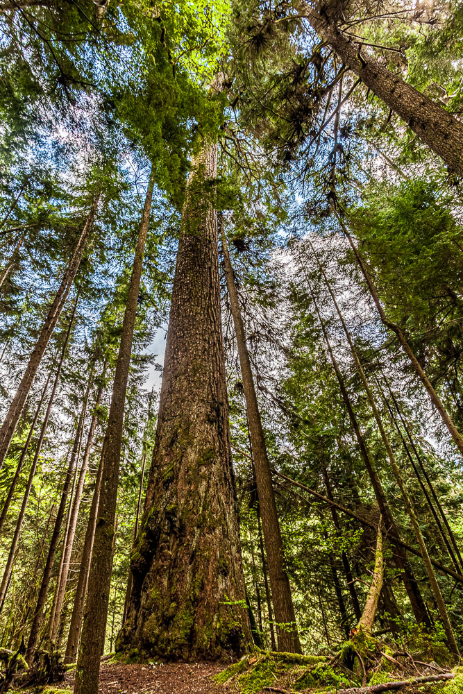 Van_15_65525__MG_1129-HDR.jpg