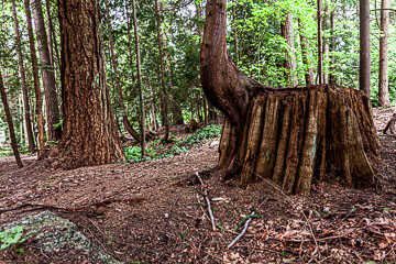 Van_15_65346__MG_0950-HDR.jpg