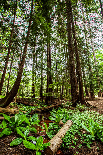 Van_15_65374__MG_0978-HDR.jpg