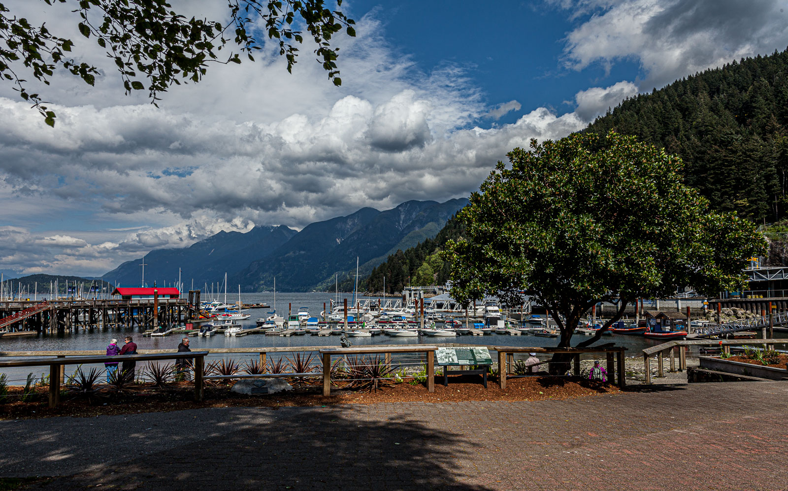 Van_15_65443__MG_1047.jpg