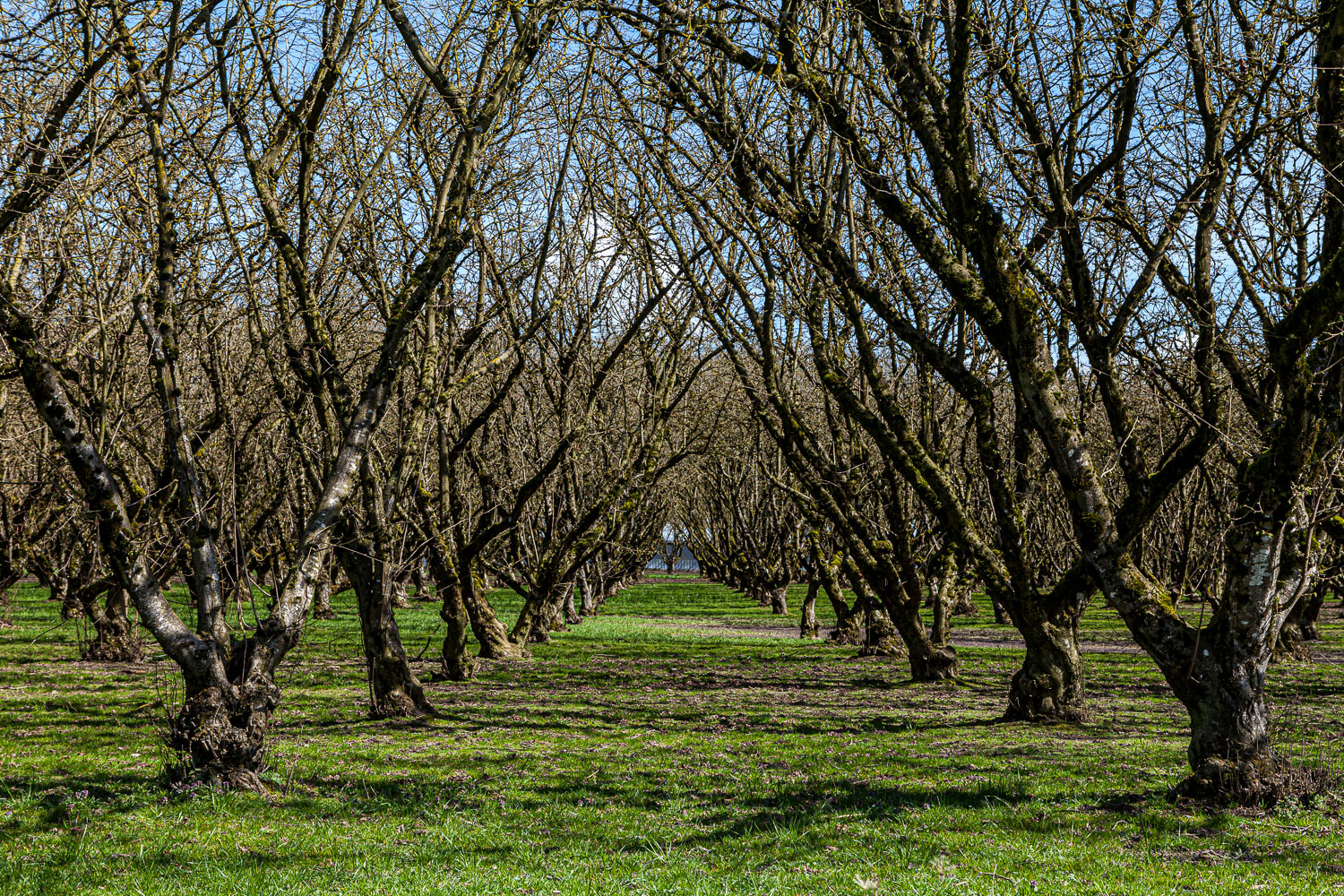 Van_14_50975__MG_3231.jpg