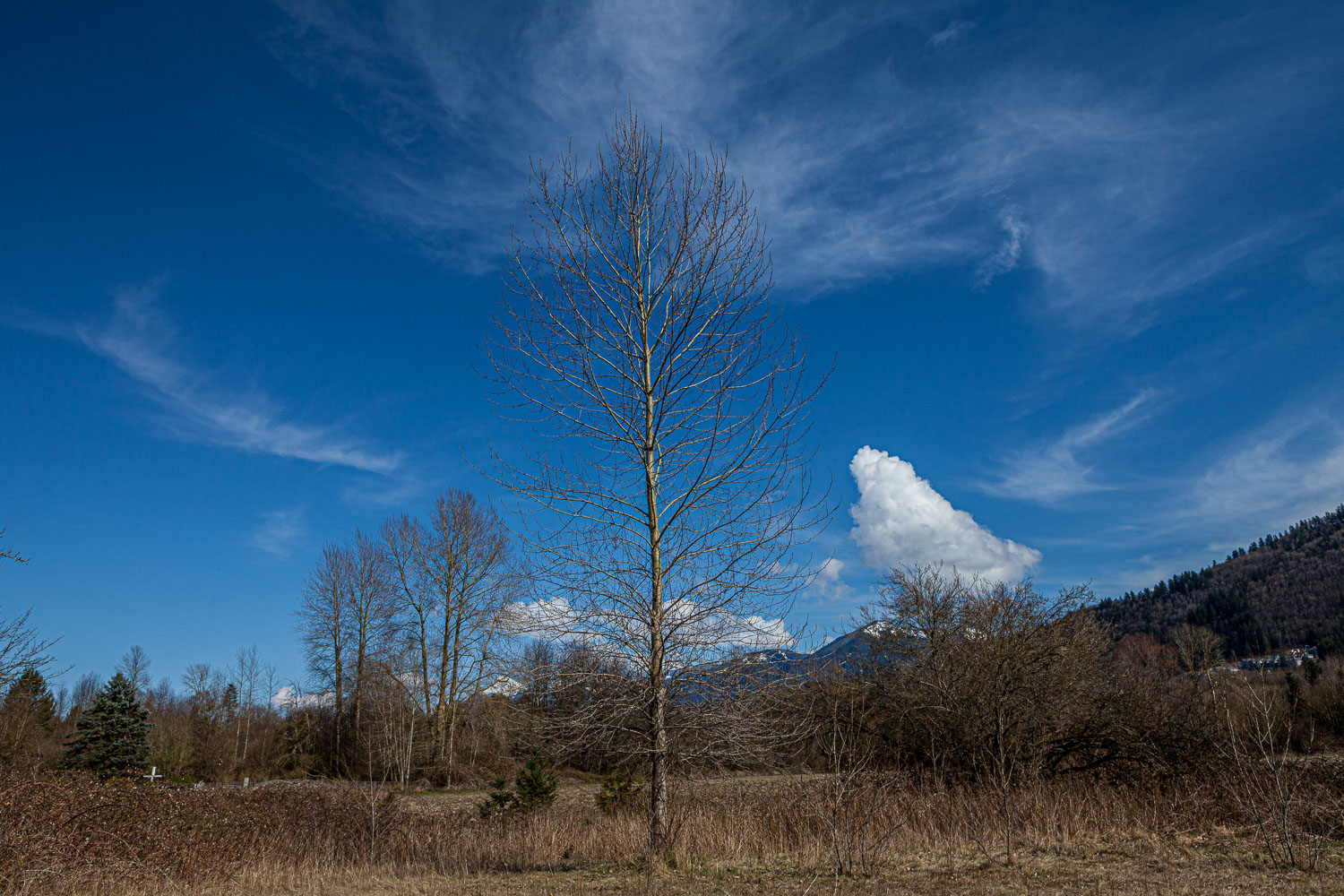 Van_14_50980__MG_3236.jpg