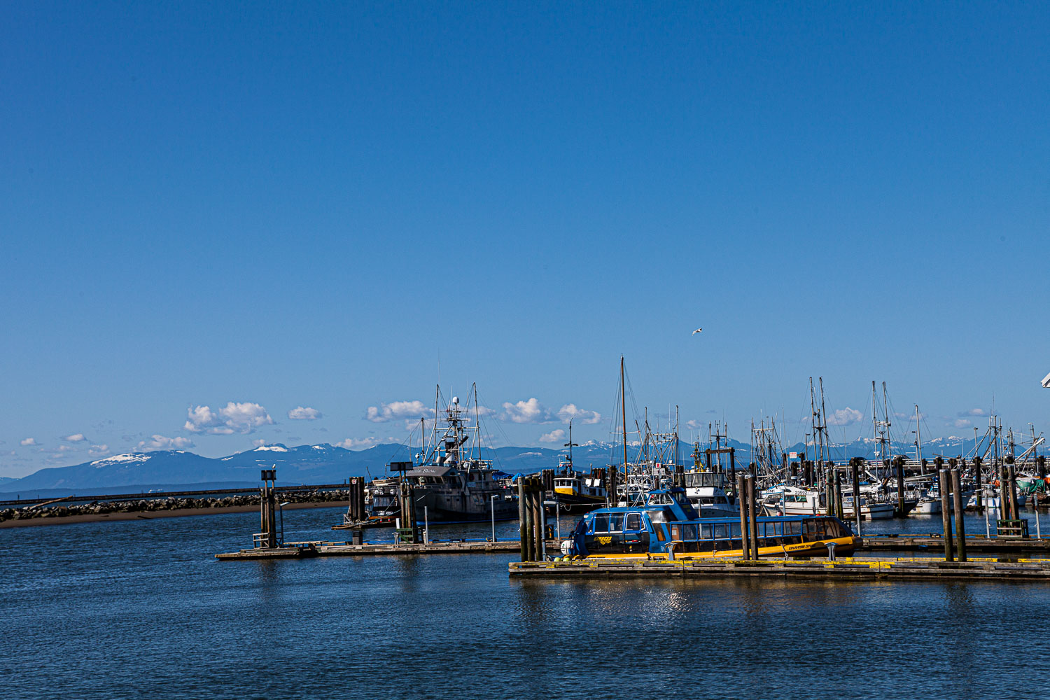 Van_14_51003__MG_3259.jpg