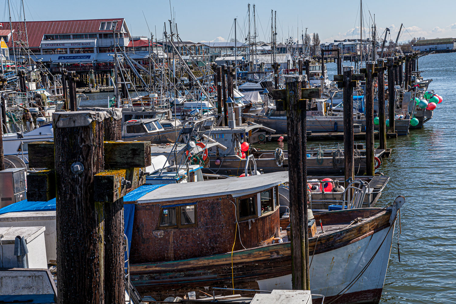 Van_14_51024__MG_3280.jpg