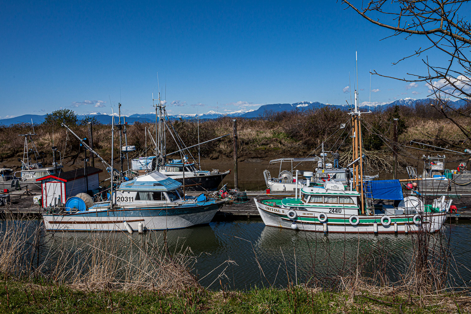 Van_14_51055__MG_3311.jpg