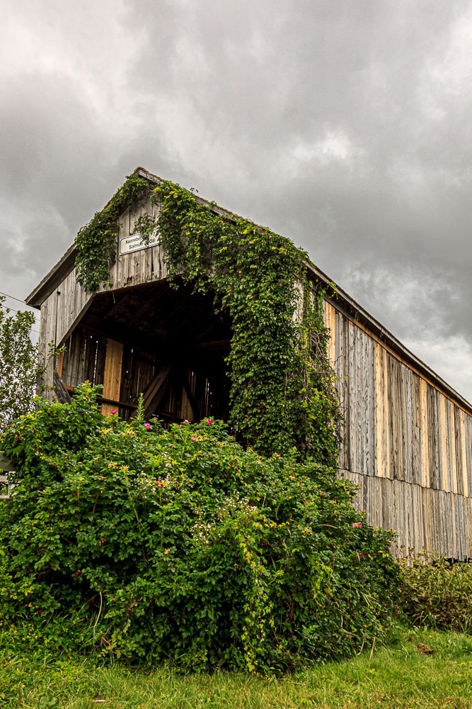 Sx_10_16921__MG_9510-HDR.jpg