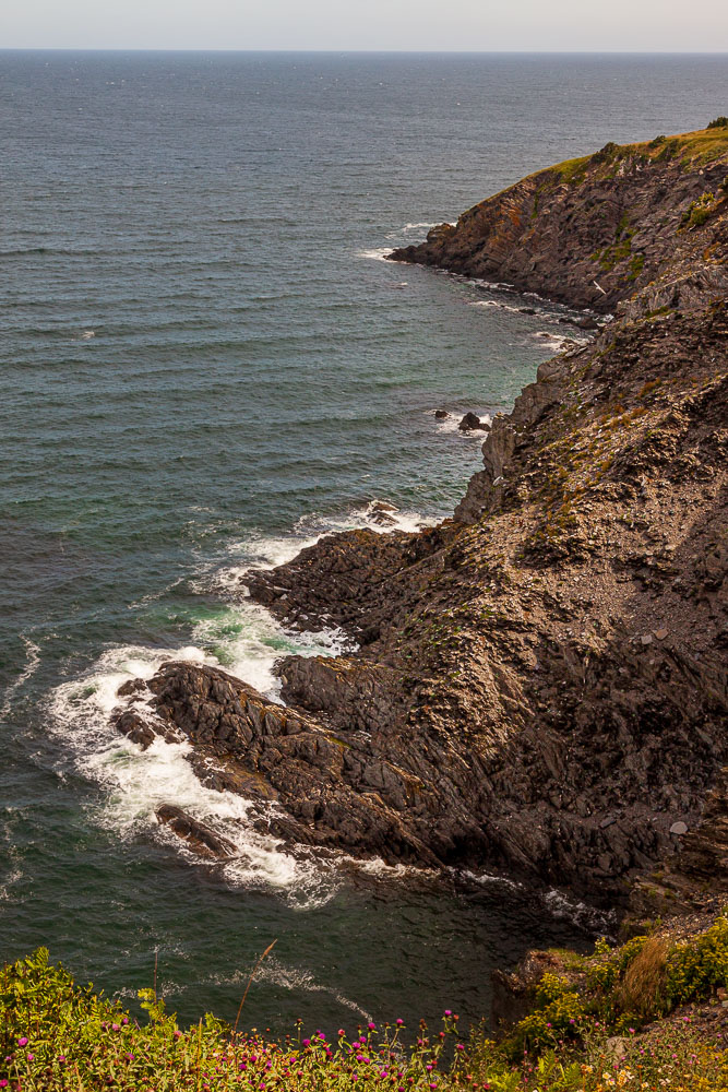 NFLD_02572__MG_1171.jpg