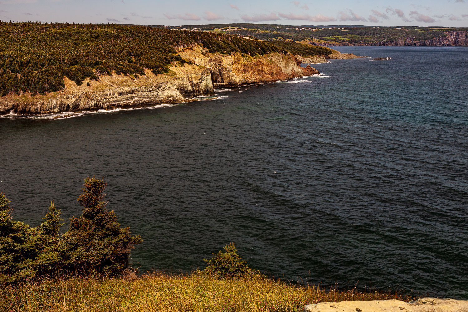 NFLD_02575__MG_1174.jpg