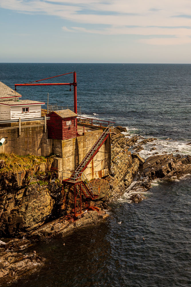 NFLD_02590__MG_1189.jpg