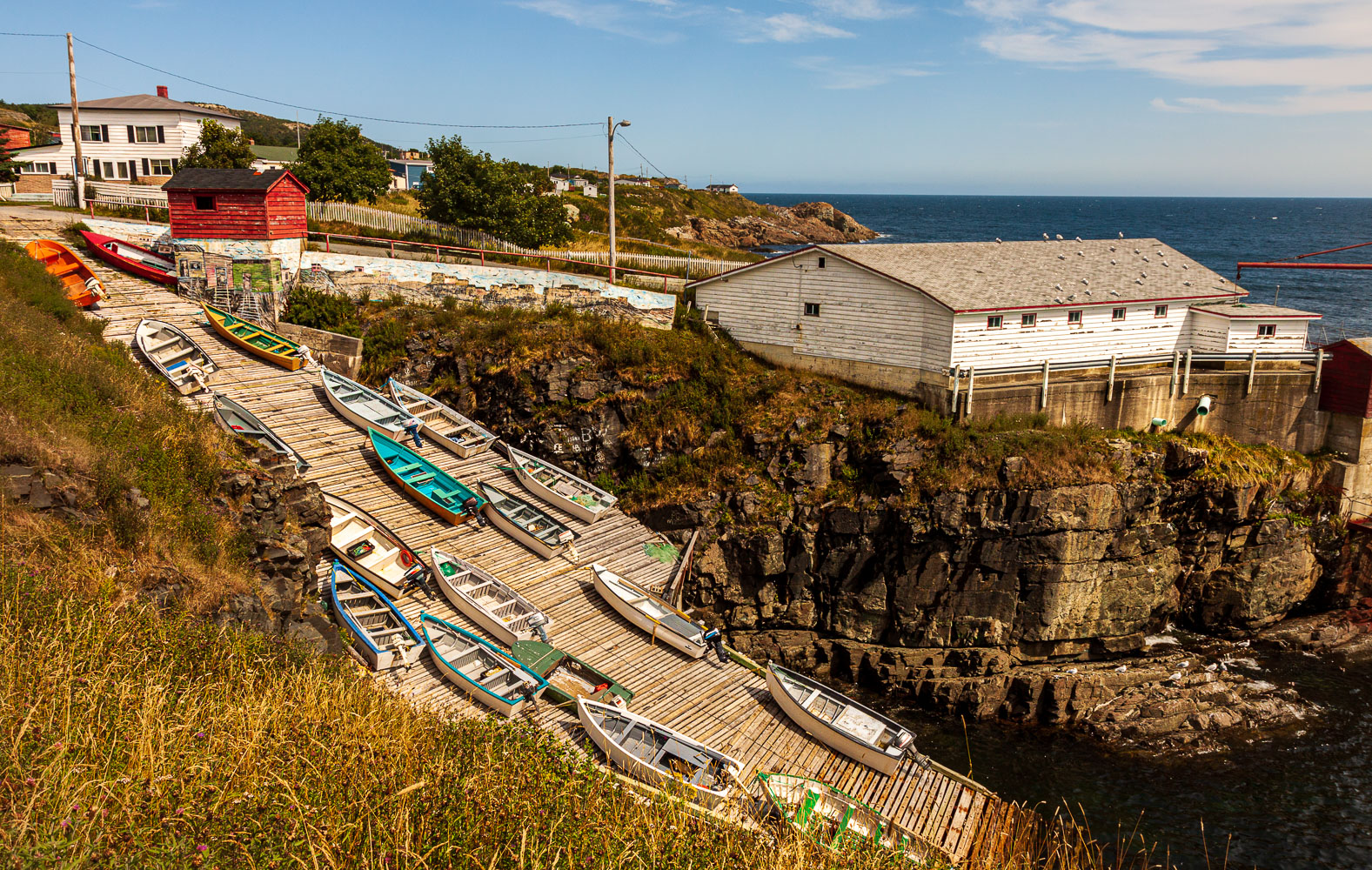 NFLD_02591__MG_1190.jpg