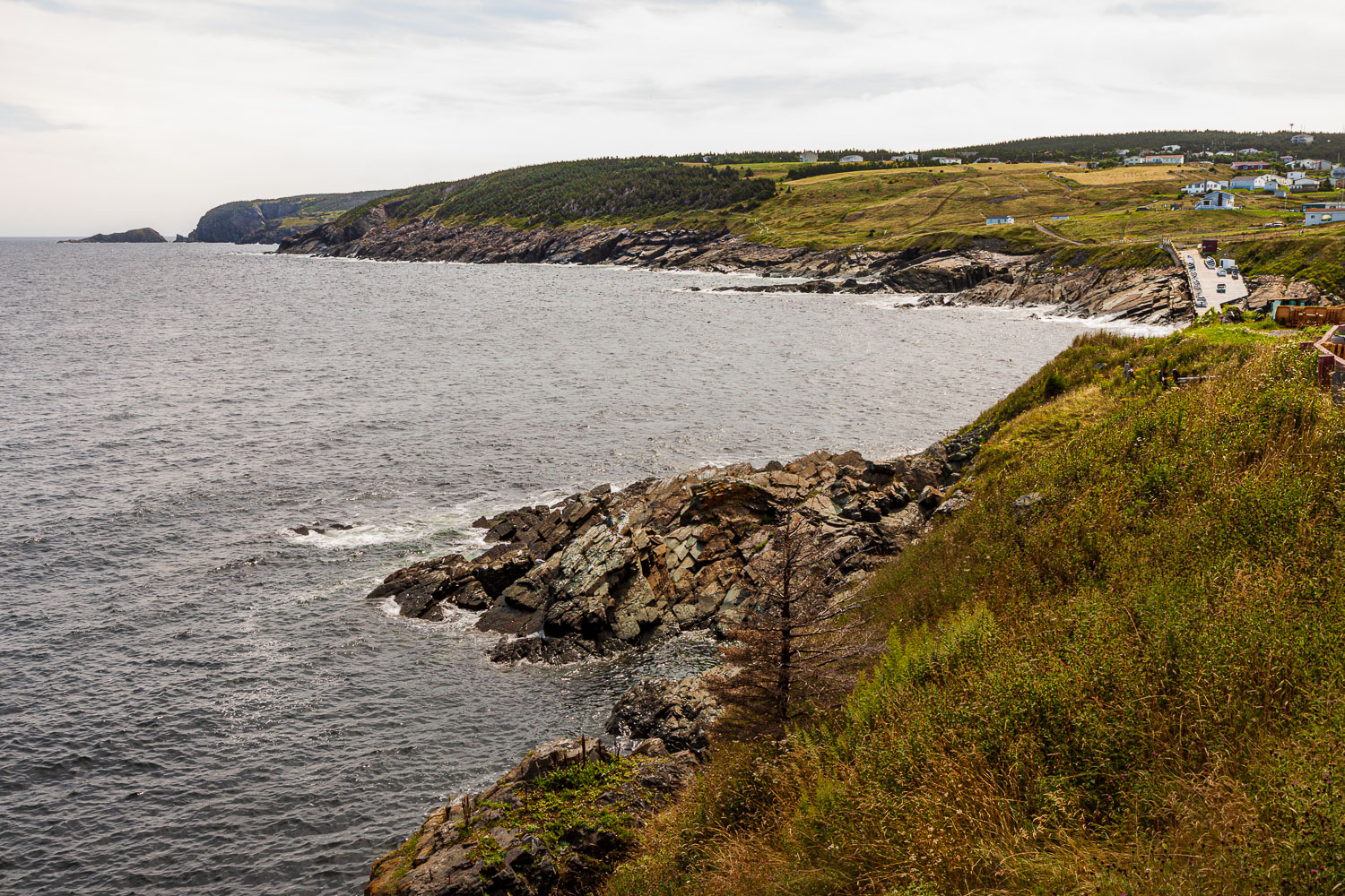 NFLD_02601__MG_1200.jpg