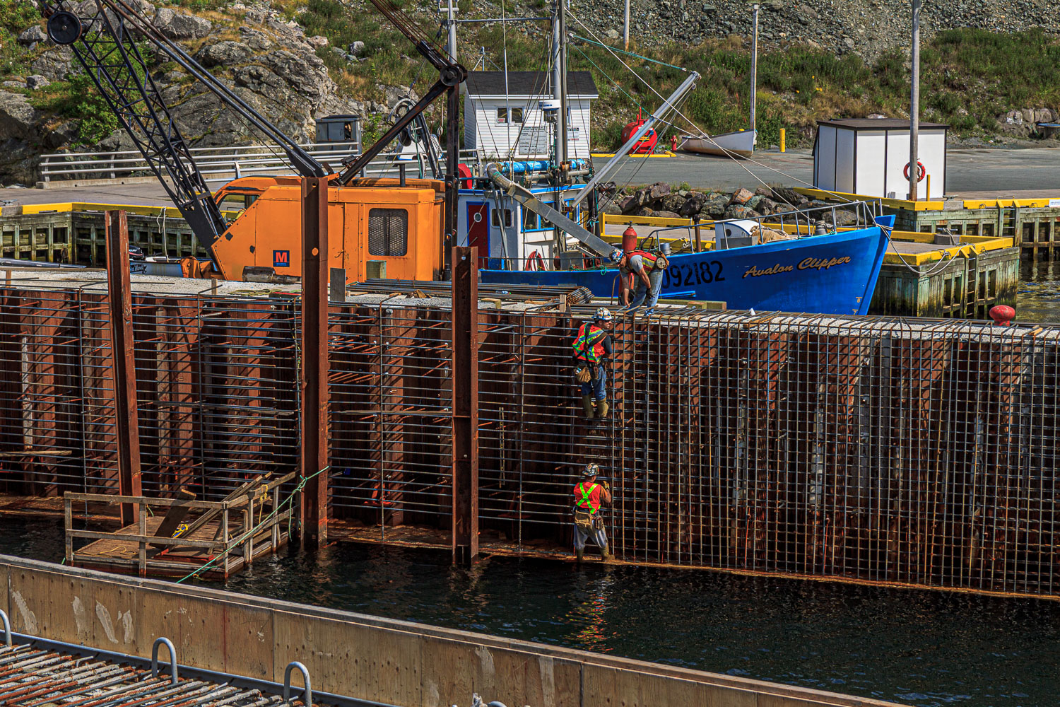 NFLD_02615__MG_1214.jpg