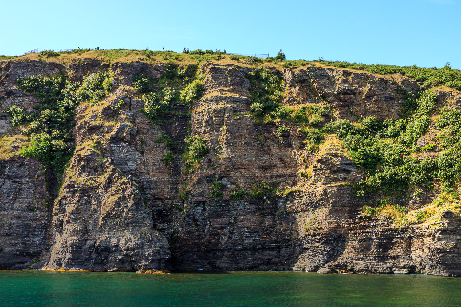 NFLD_02657__MG_1256.jpg