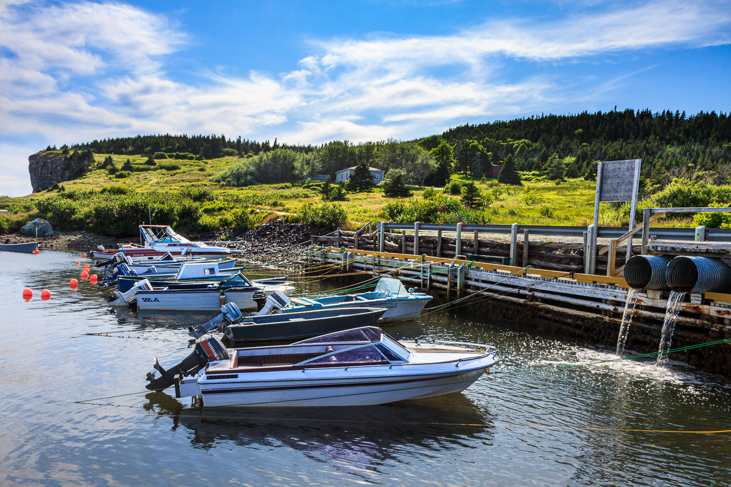 NFLD_02667__MG_1266.jpg