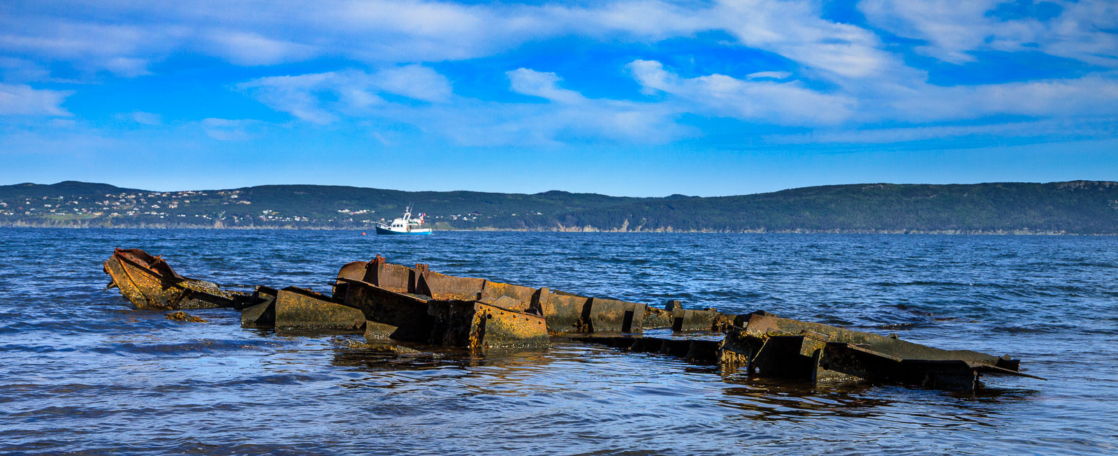 NFLD_02685__MG_1284.jpg