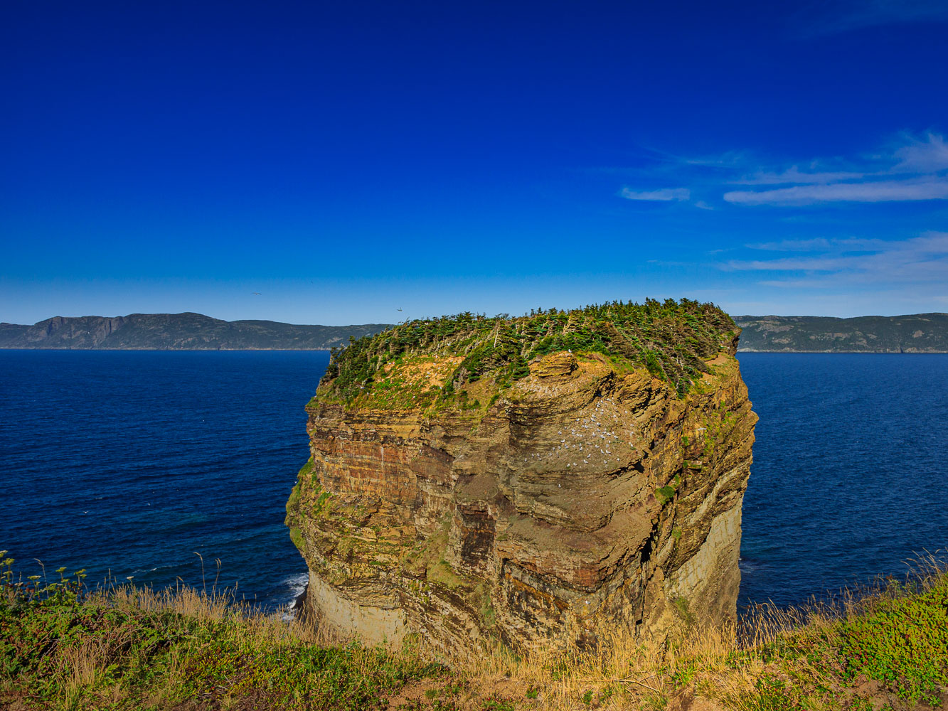 NFLD_02690__MG_1289.jpg