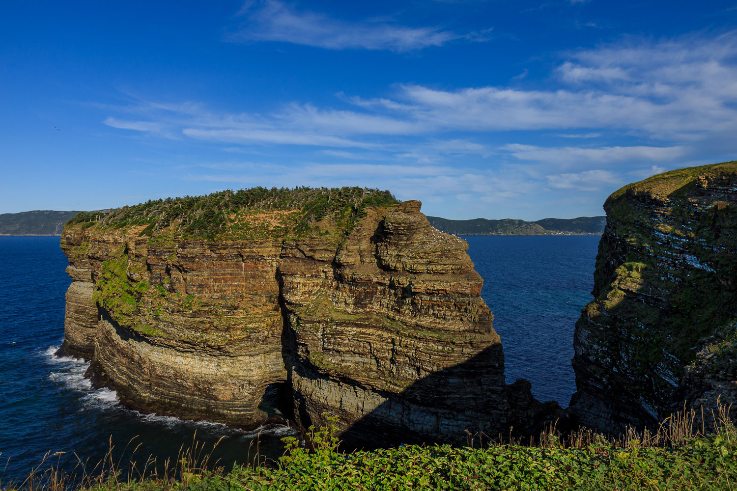 NFLD_02695__MG_1294.jpg