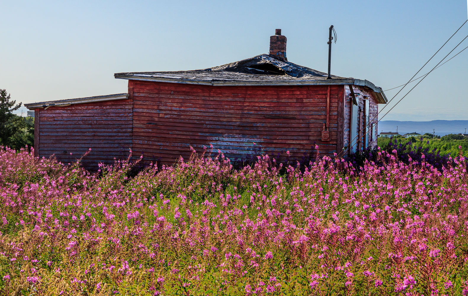 NFLD_02701__MG_1300-HDR-2.jpg