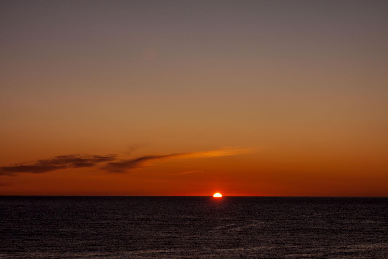 NFLD_02783__MG_1382.jpg