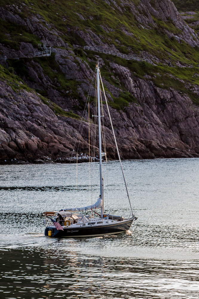 NFLD_02821__MG_1420.jpg