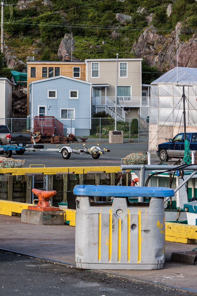 NFLD_02955__MG_1554.jpg