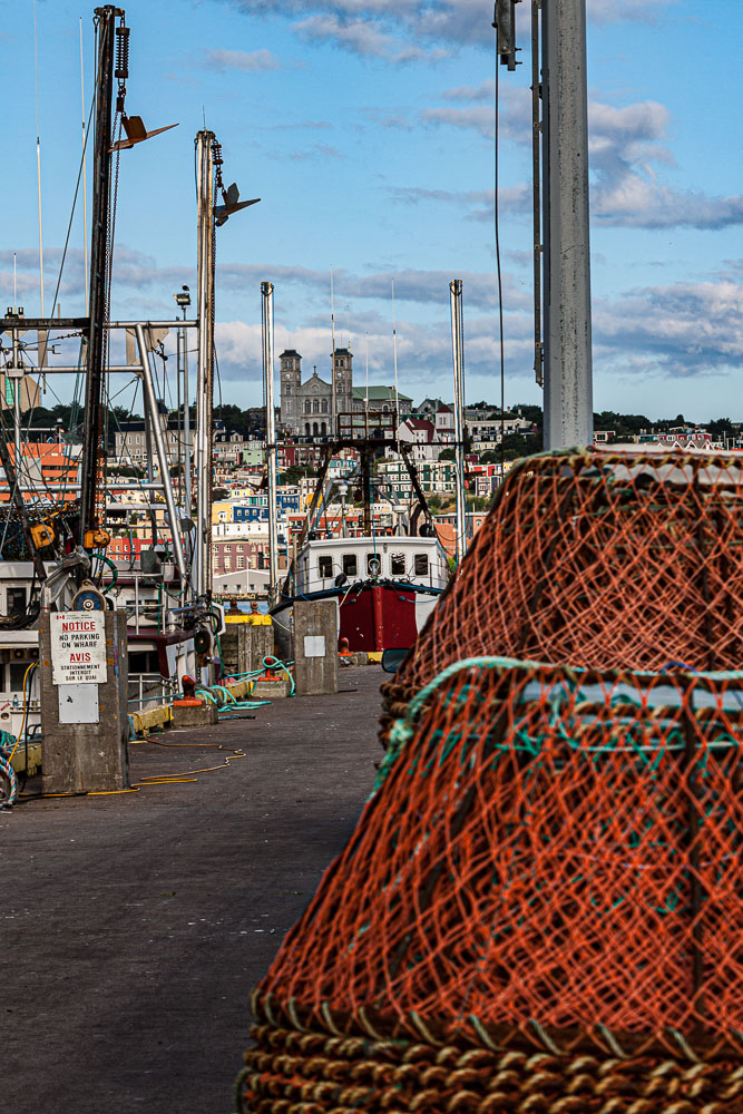 NFLD_02957__MG_1556.jpg