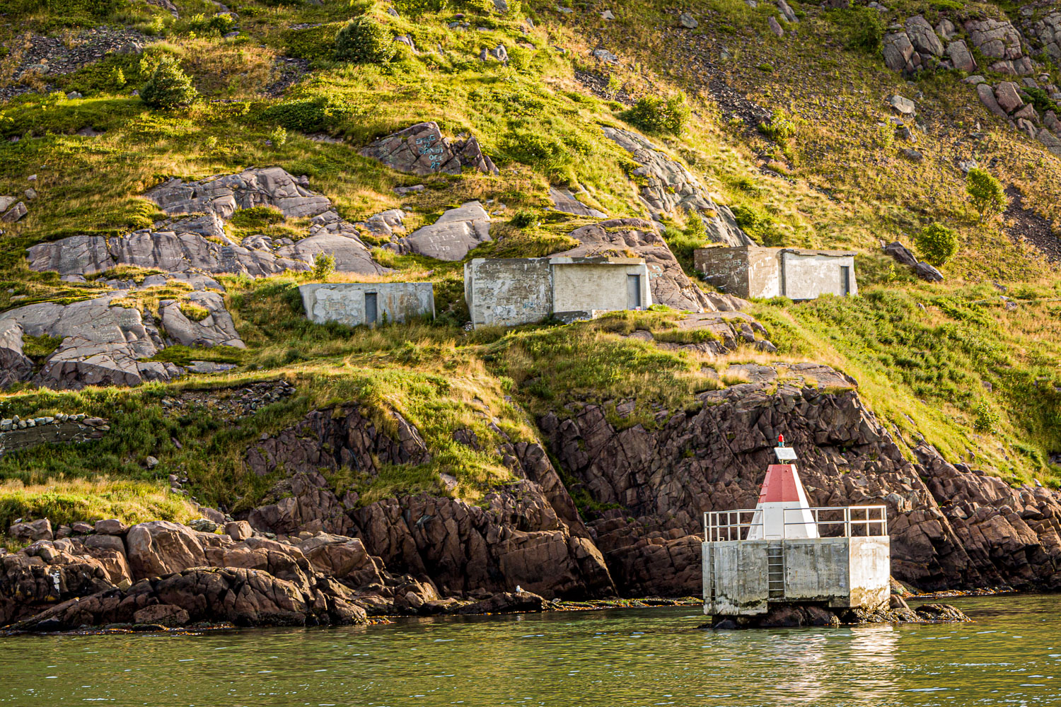 NFLD_02964__MG_1563.jpg