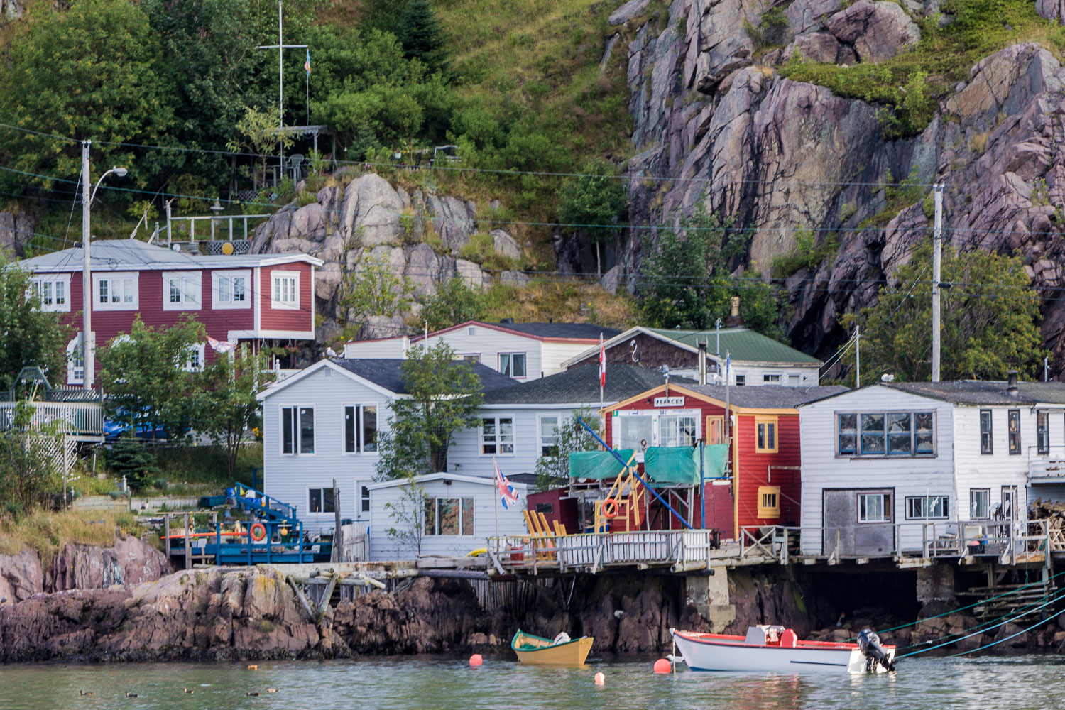 NFLD_02969__MG_1568.jpg