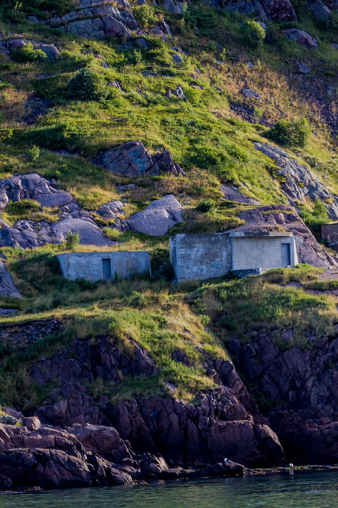 NFLD_02978__MG_1577.jpg