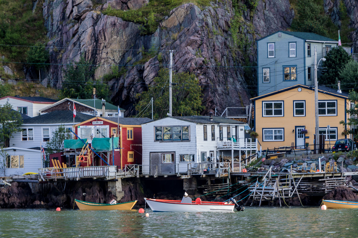 NFLD_02988__MG_1587.jpg