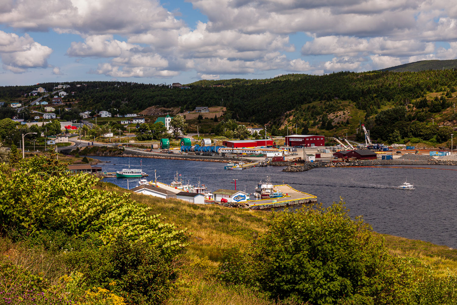 NFLD_03037__MG_1636.jpg