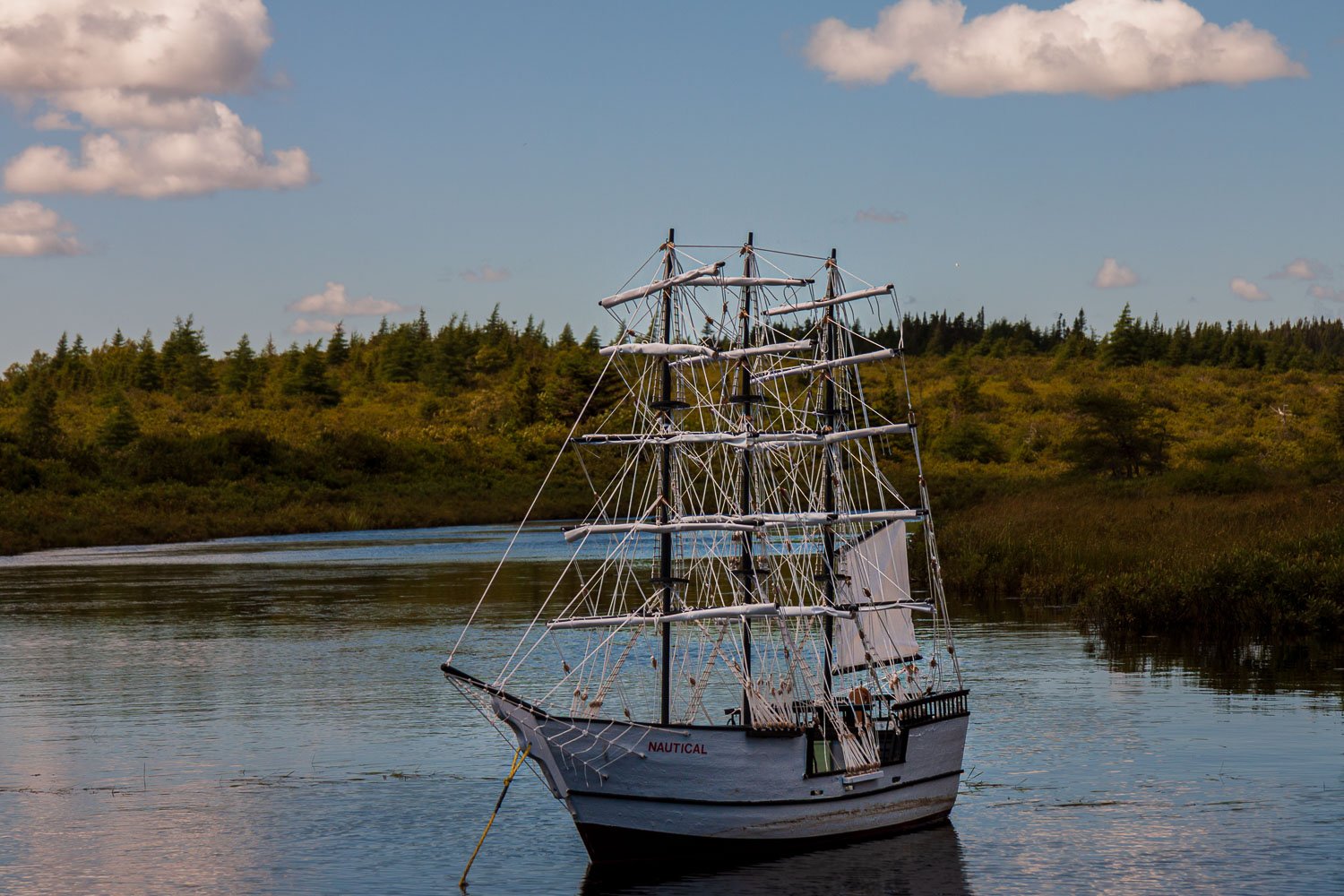 NFLD_03041__MG_1640.jpg