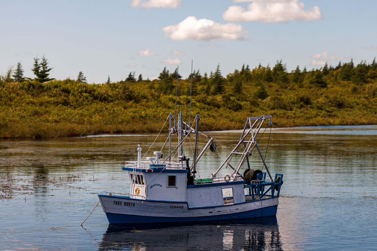 NFLD_03042__MG_1641.jpg