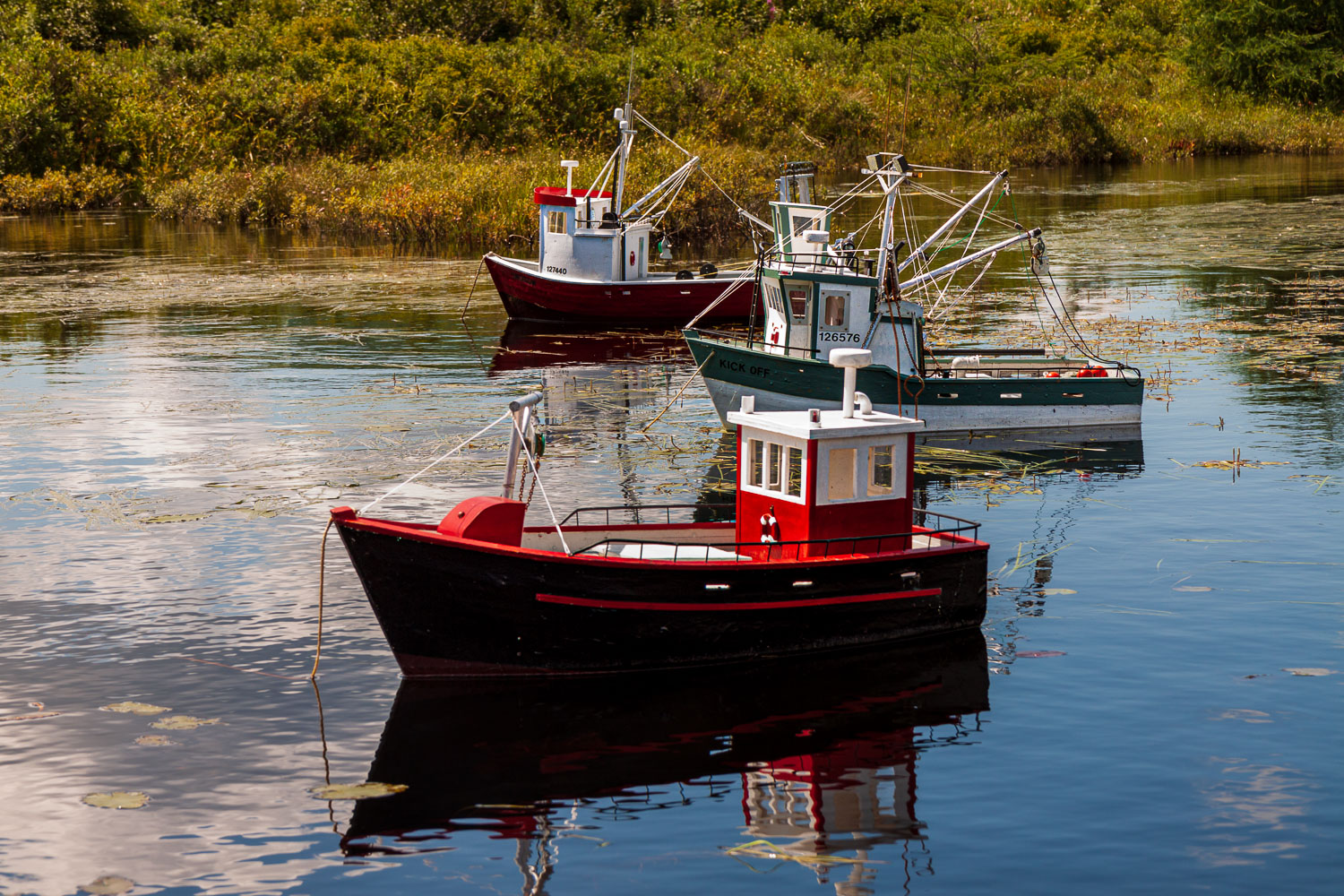 NFLD_03044__MG_1643.jpg