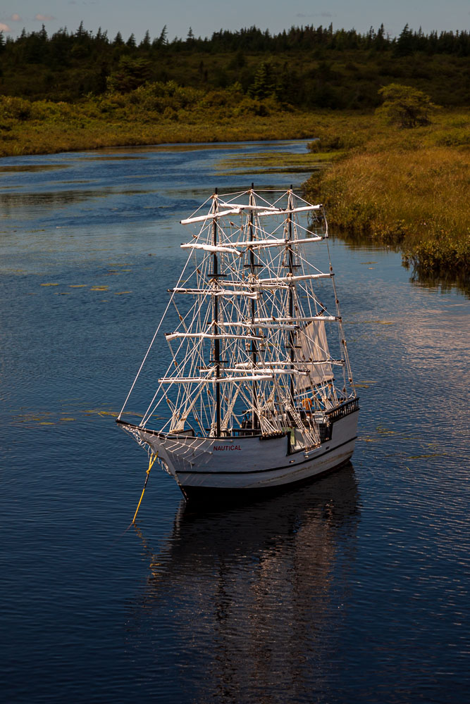 NFLD_03048__MG_1647.jpg