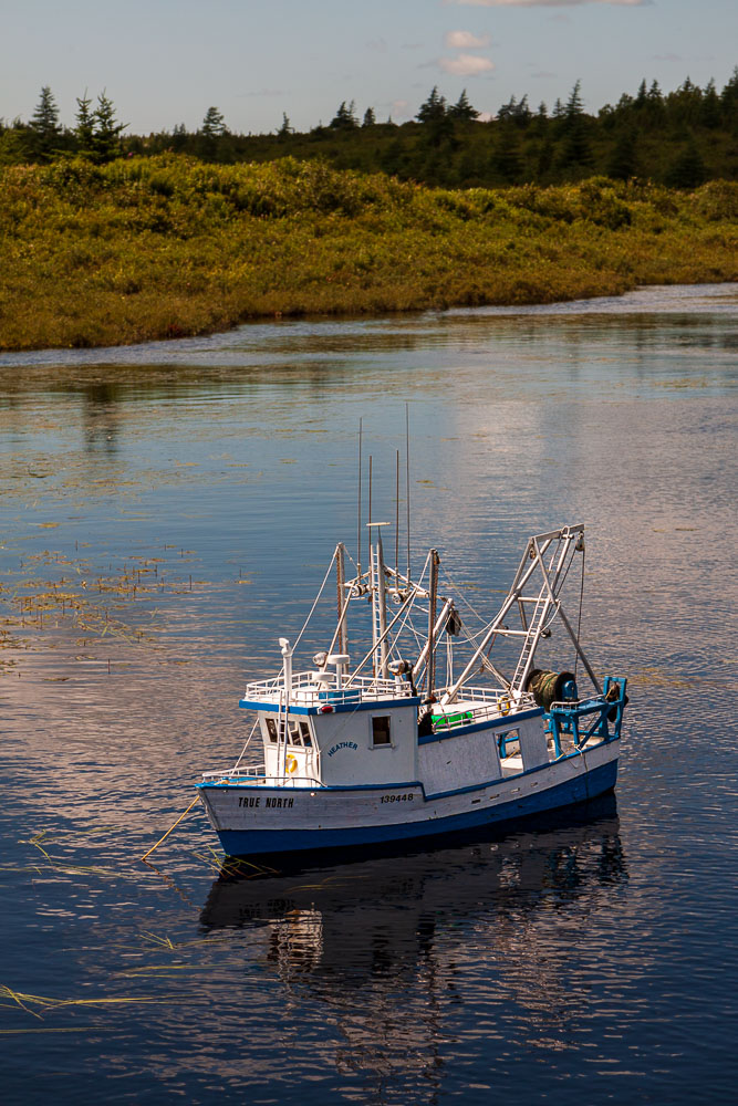 NFLD_03049__MG_1648.jpg