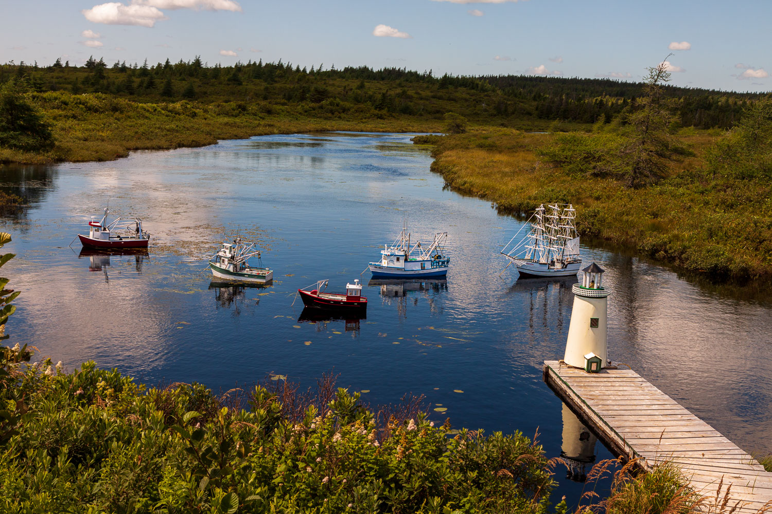 NFLD_03050__MG_1649.jpg