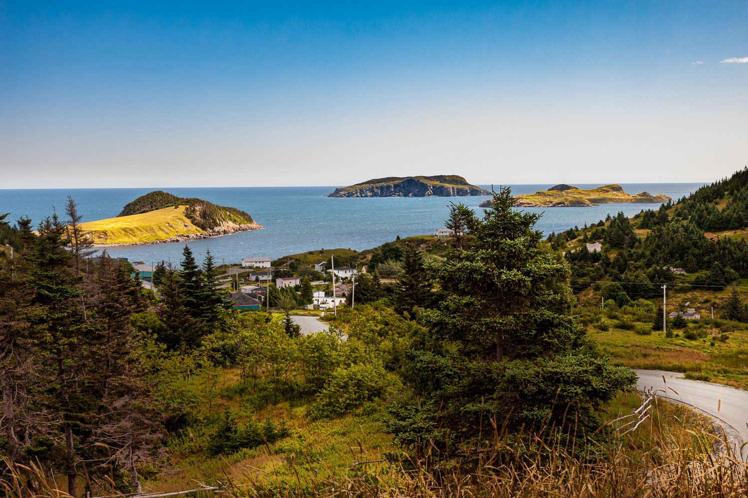 NFLD_03051__MG_1650.jpg