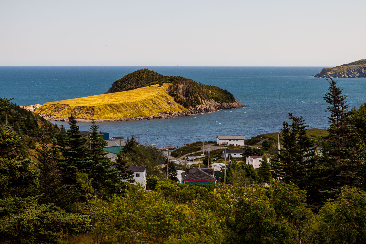 NFLD_03053__MG_1652.jpg