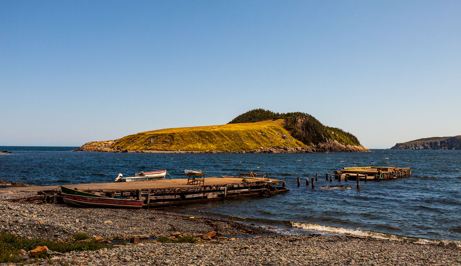 NFLD_03055__MG_1654.jpg