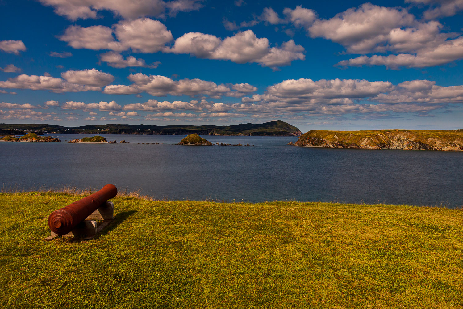 NFLD_03061__MG_1660.jpg