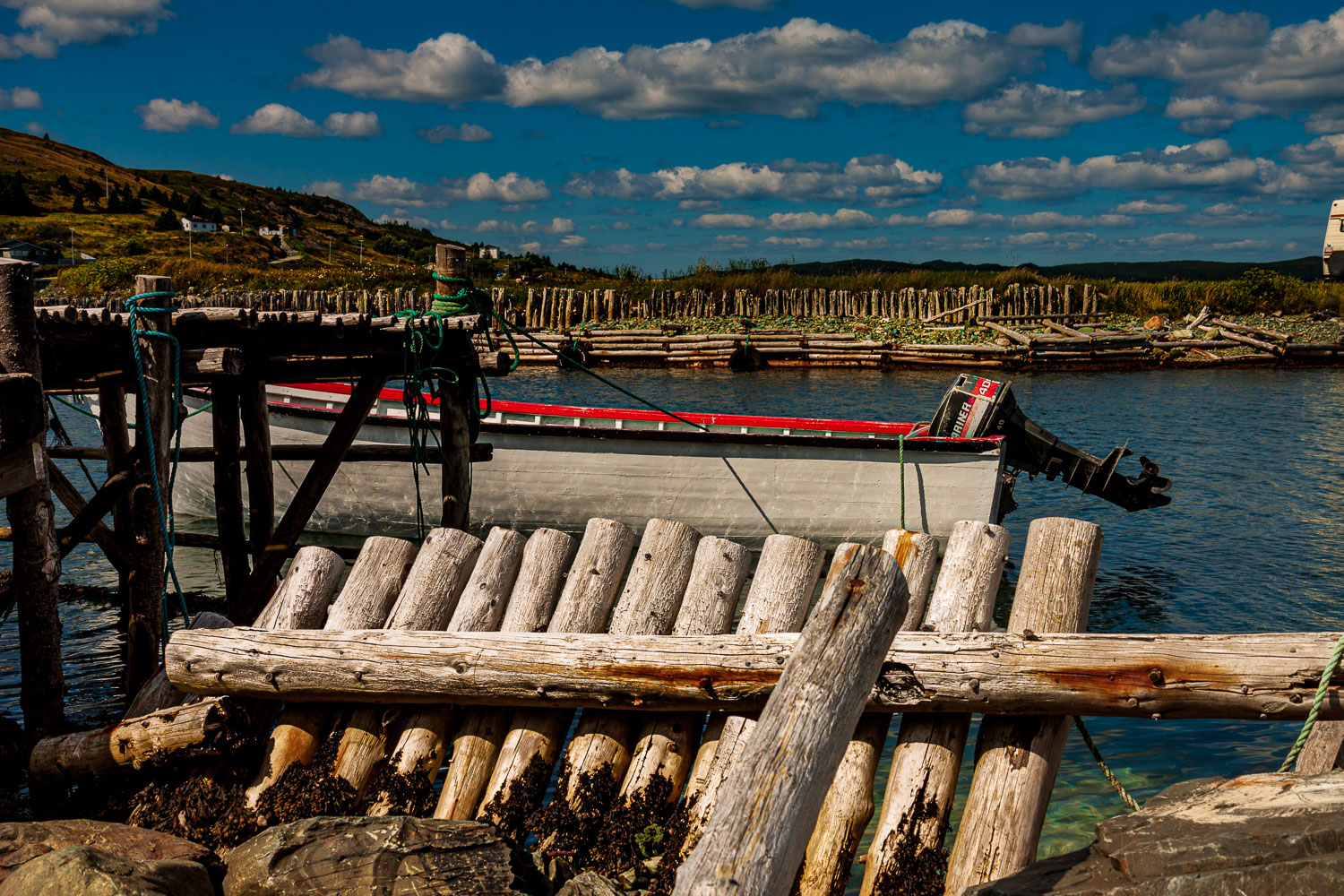 NFLD_03065__MG_1664.jpg