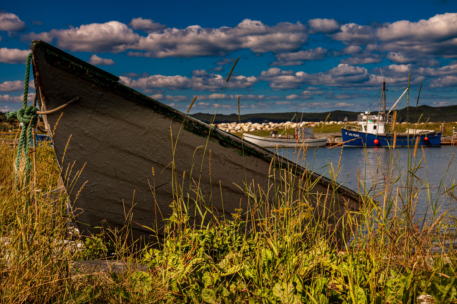 NFLD_03073__MG_1672.jpg